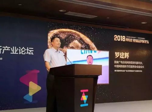網(wǎng)絡影視精品化 鑄就視聽新紀元，引領影視制作新浪潮